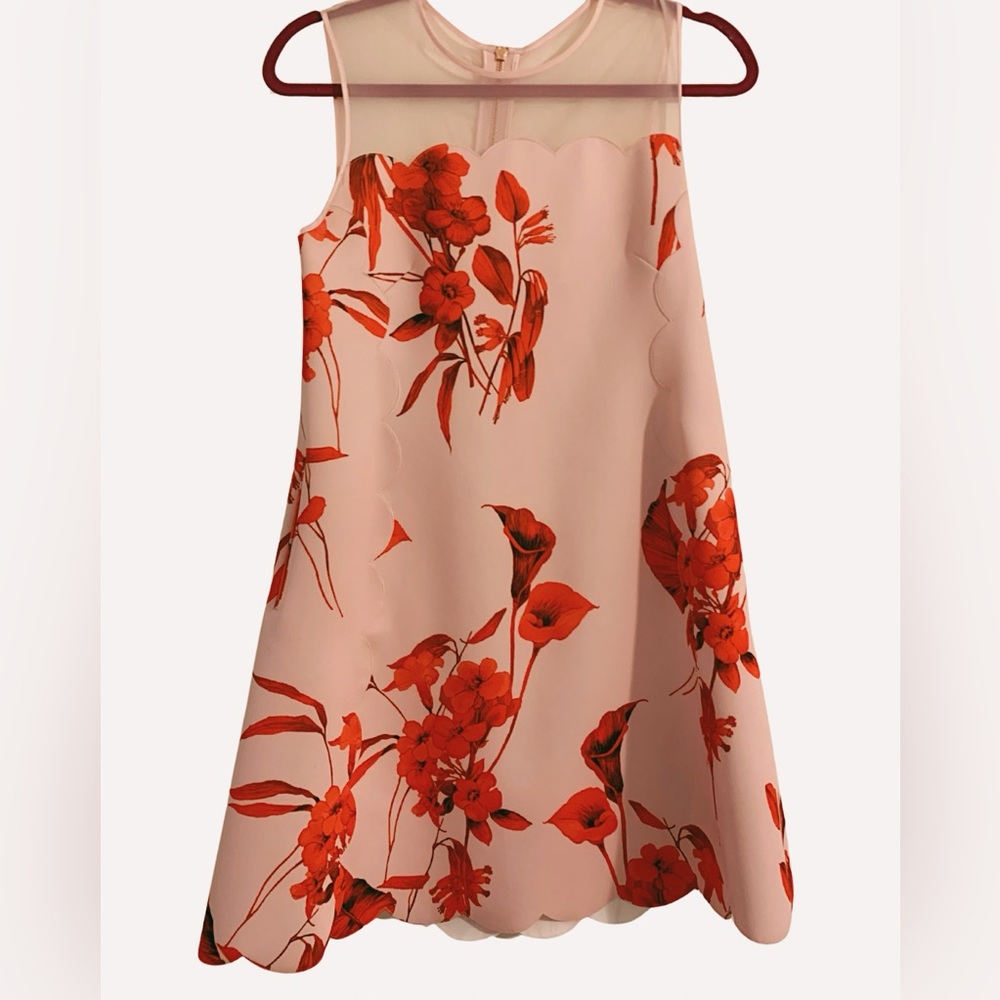 Ted Baker Pink & Red Floral Scalloped Dress